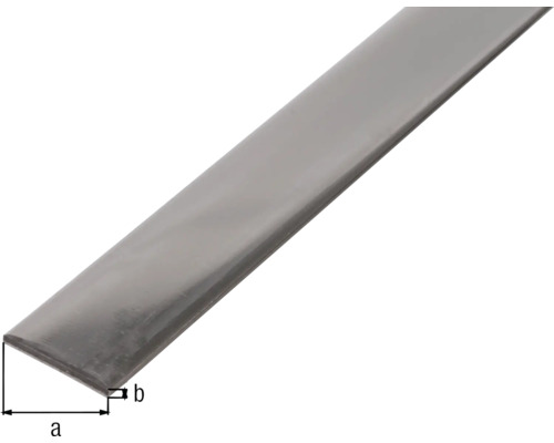 RVS platte staaf 25x2mm, 1m