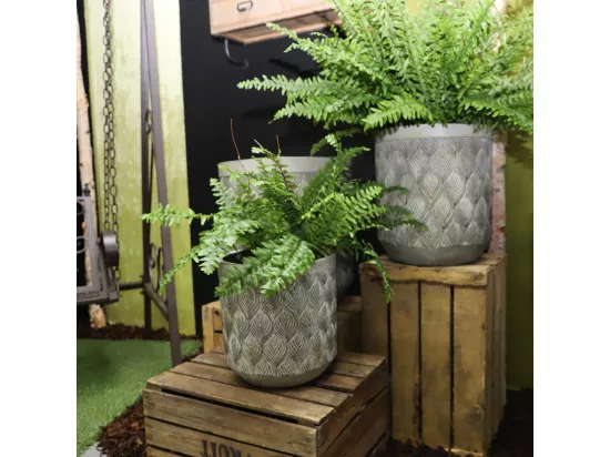 3 Cache-pots grandes tailles plante extérieur béton gris 31-39-49cm