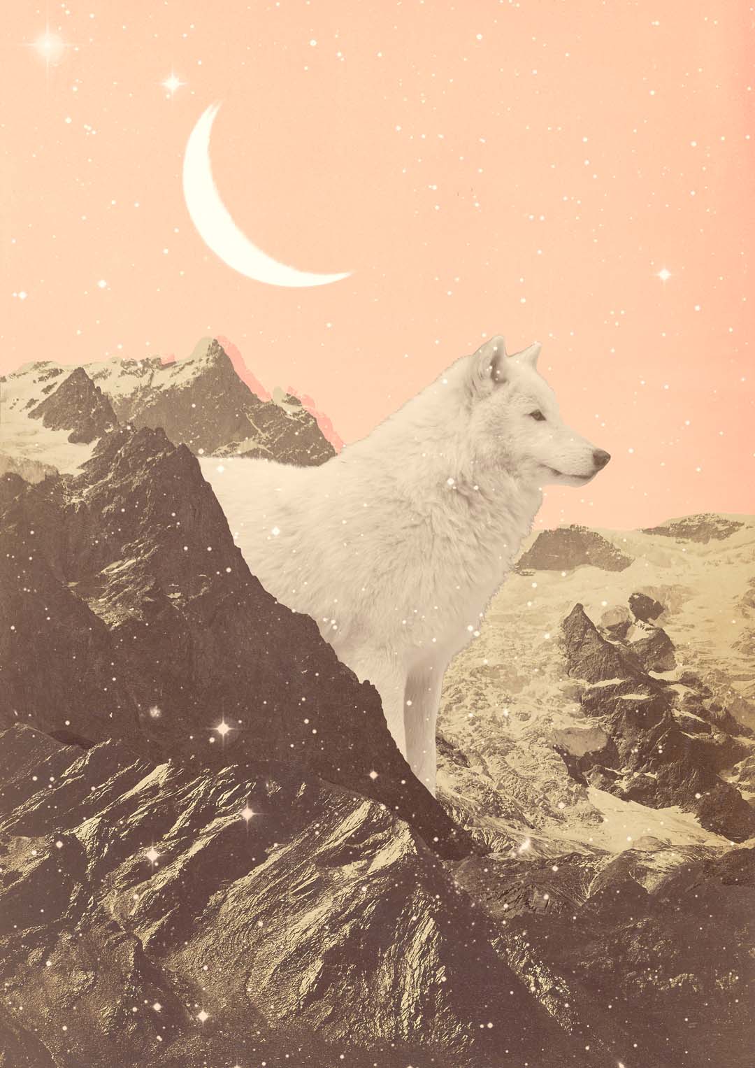 Riesiger weißer Wolf in den Bergen von Florent Bodart