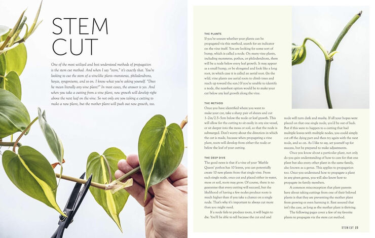 New Mags The Propagation Handbook