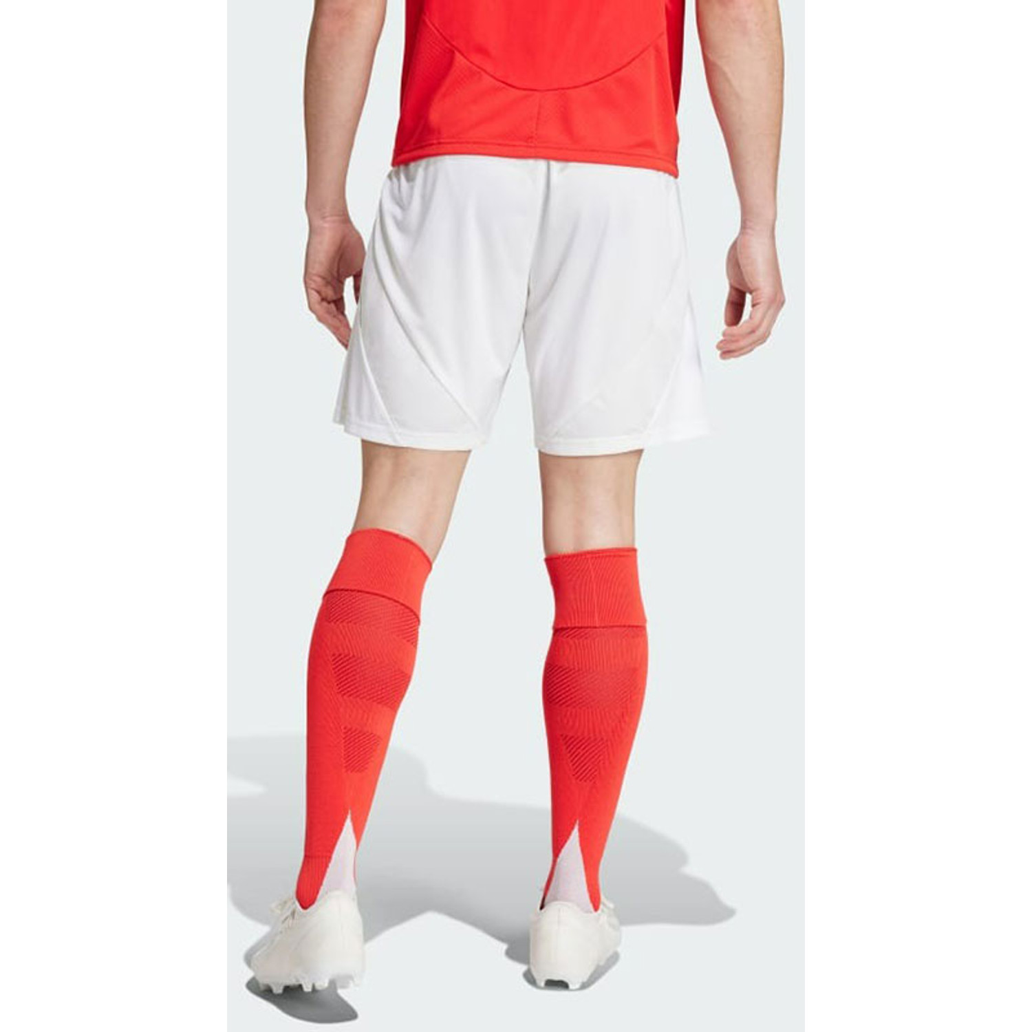 adidas SL Benfica Thuis Short 2024/2025