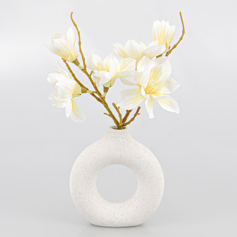Magnolia dans vase