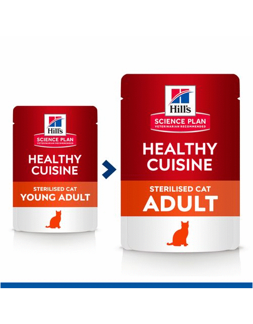 Hill's Feline Maaltijdzakjes Adult Healthy Cuisine Sterilised - Kattenvoer - Kip Zalm 12x80 g