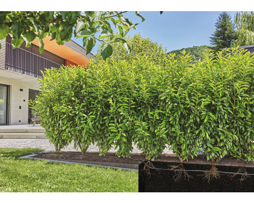 GARDENA Micro-Drip-System druppelslang 1,6 l/u, 50 m