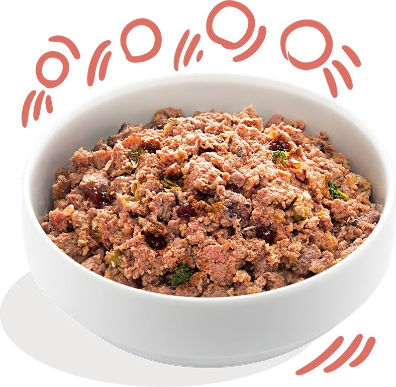 Edgard & Cooper hondenvoer kip en zalm senior 400 g