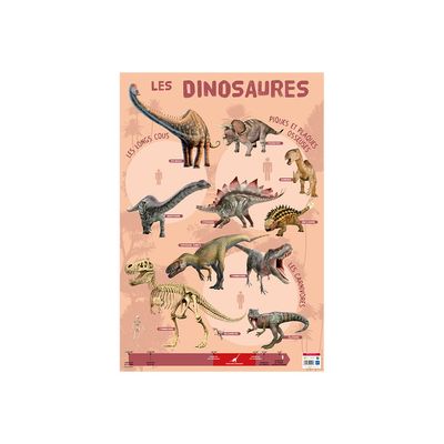 Bouchut - Poster Les Dinosaures - 52 x 76 cm