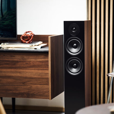 Koop Sonos Amp   Argon Audio Forus 55 Stereosysteem voor TV | 5 Jaar Garantie
