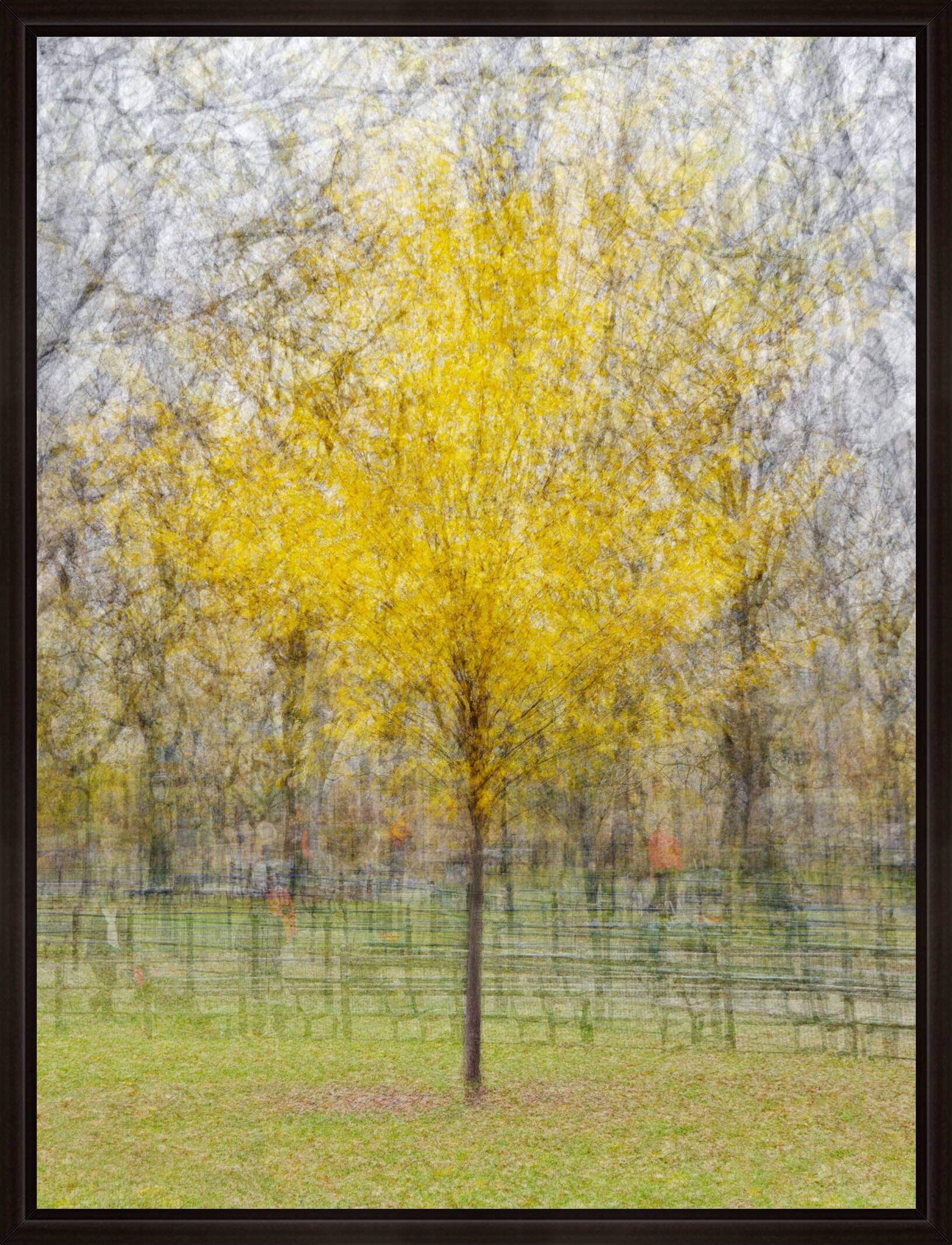 Central Park Four by Pep Ventosa - Limited Edition. Edition of: 100. Signed.