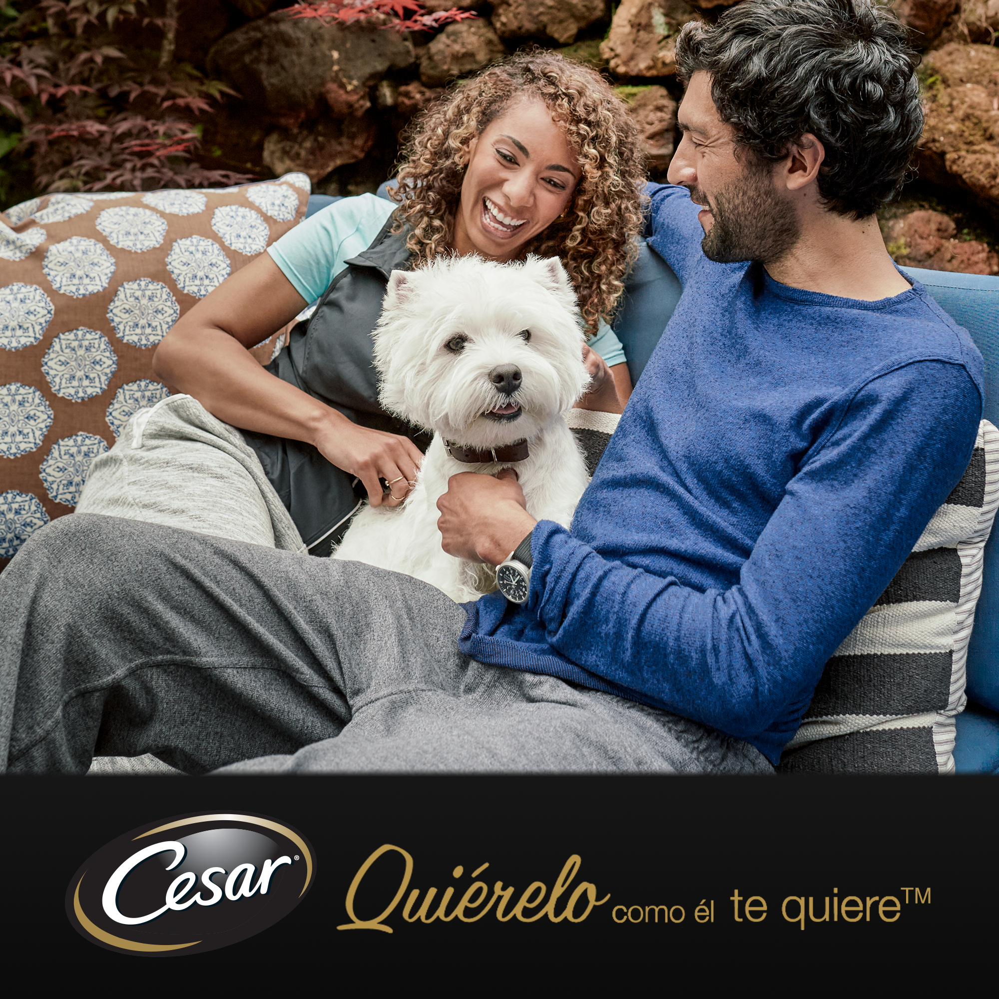 Salgadinhos de Gelatina com Carnes Mistas Cesar para Cães - Pacote com Vários