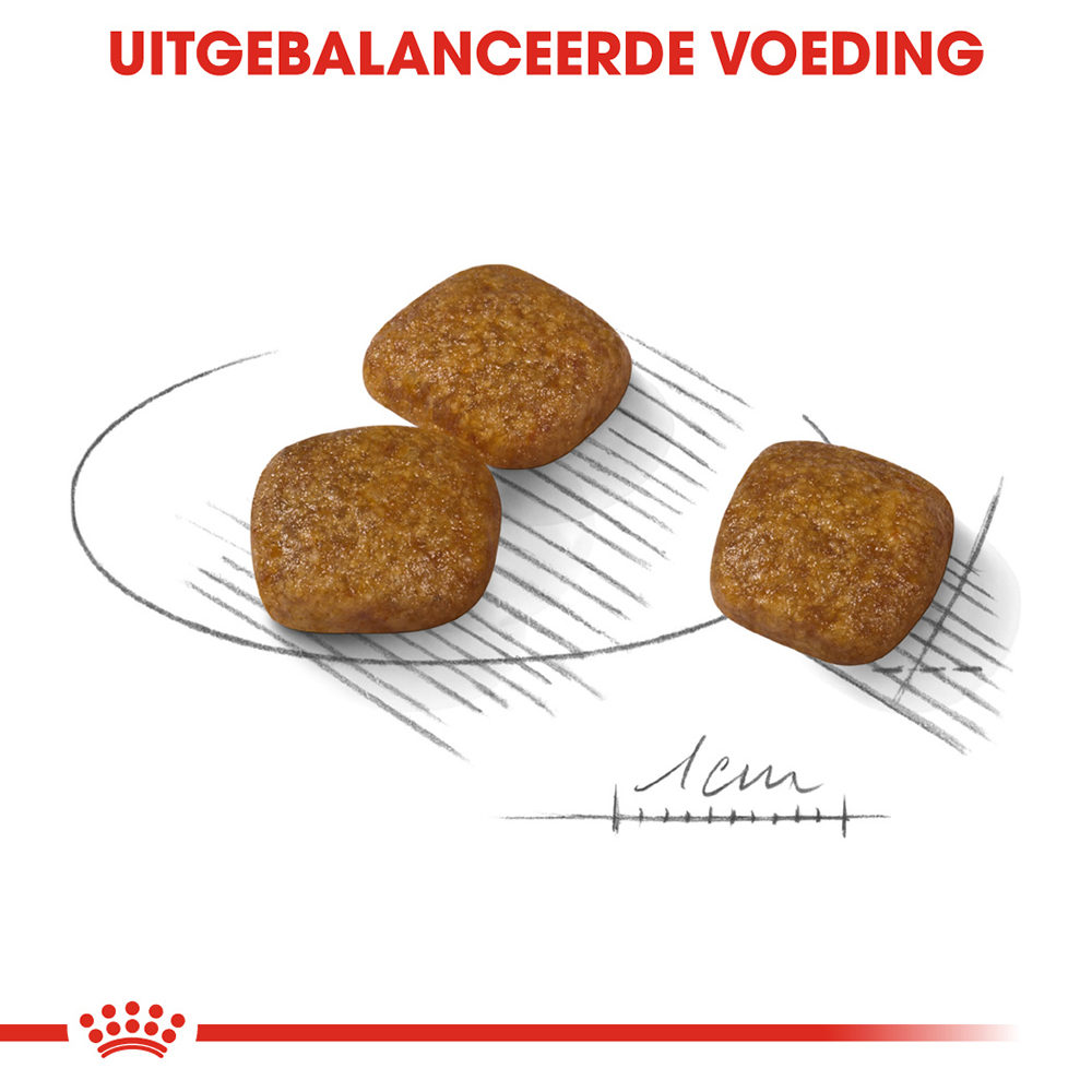 Royal Canin Mini Urinary Care - Hondenvoer