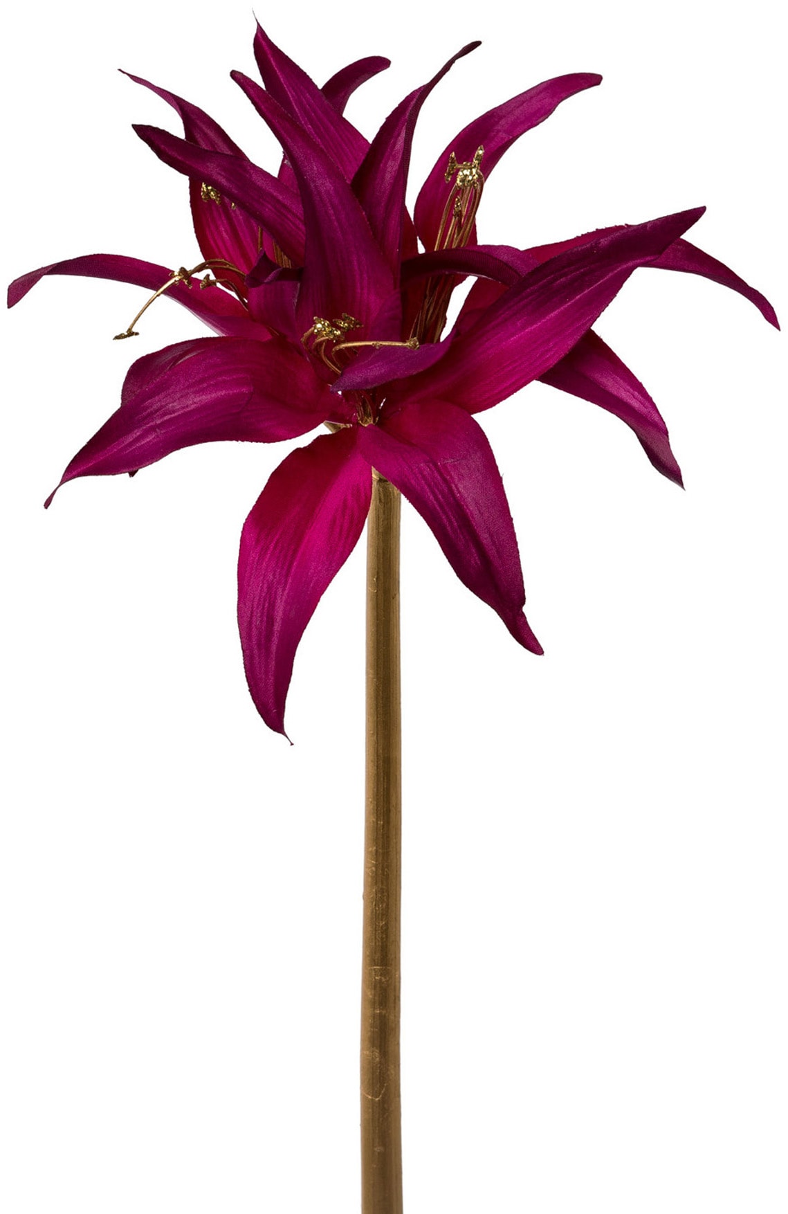 Creativ green Winterliche Kunstpflanze »Weihnachtsdeko« tolle Kombi: purple mit goldfarben, 3er-Set