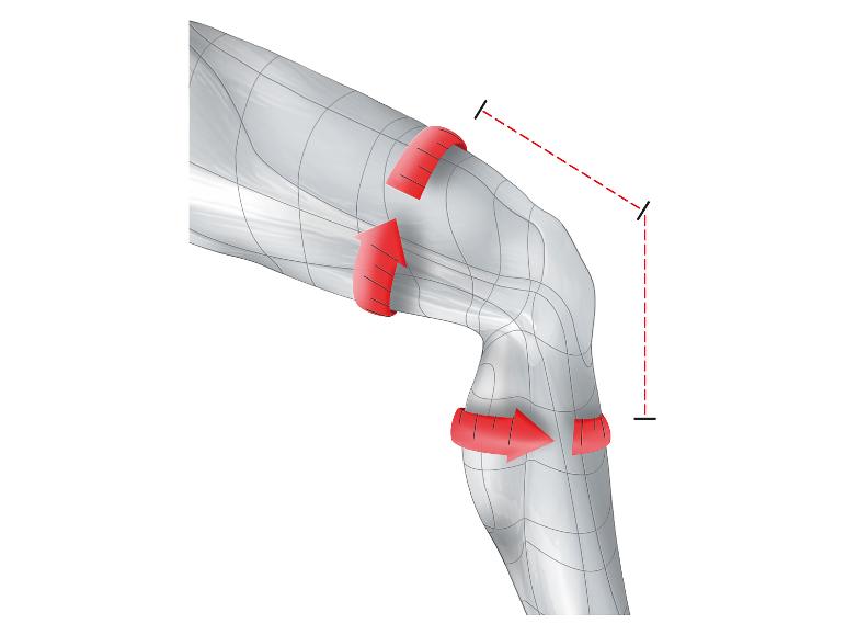 Kniebrace