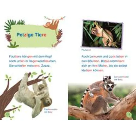 DK Verlag SUPERLESER! Tiere des Regenwalds
