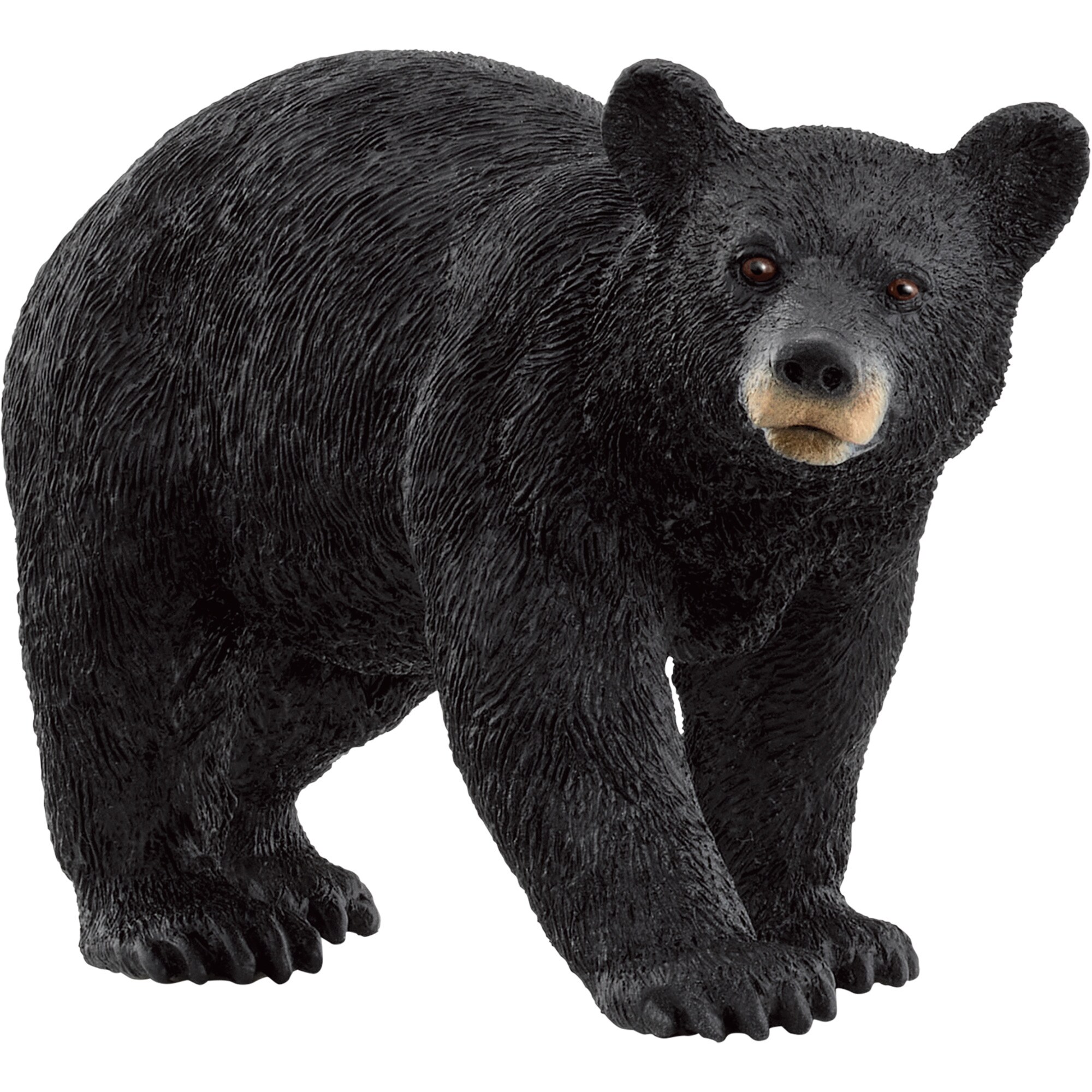 Schleich Spielfigur Wild Life Amerikanischer Schwarzbär