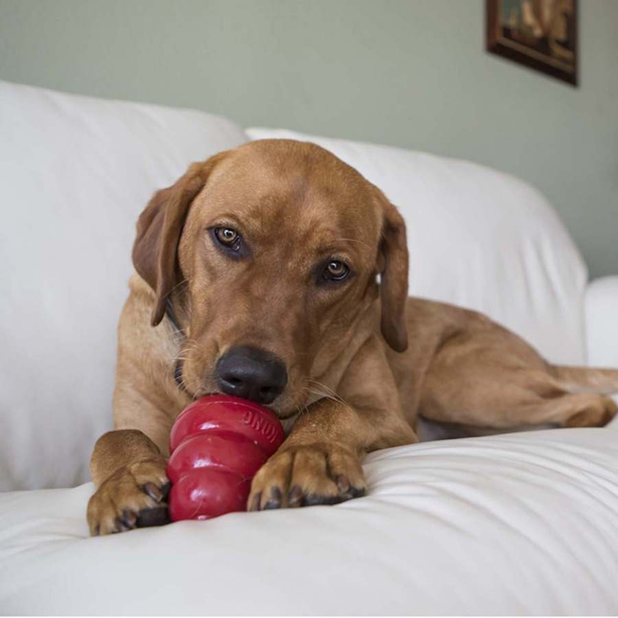 Petiscos Kong sabor bacon e queijo para cães
