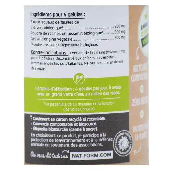 Chá Verde Orgânico Ecológico com Dente-de-Leão da Nat & Form - 120 cápsulas