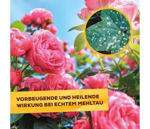 Solabiol® Pilzfrei AF, flüssig, 750 ml