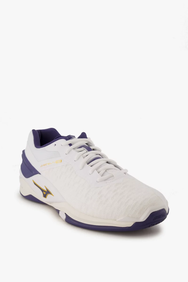 Mizuno Wave Stealth Neo Herren Hallenschuh