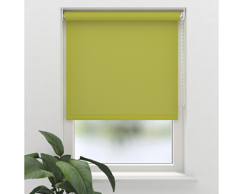 Soluna daglichtrolgordijn T5, effen groen, 60x190 cm