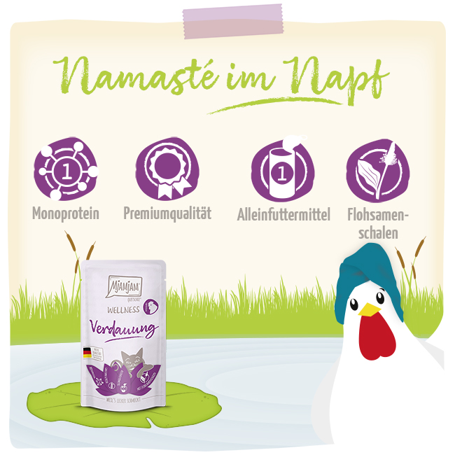 Wellness - Verdauung - Huhn