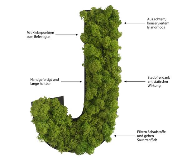 styleGREEN Buchstaben aus Islandmoos, ca. H25