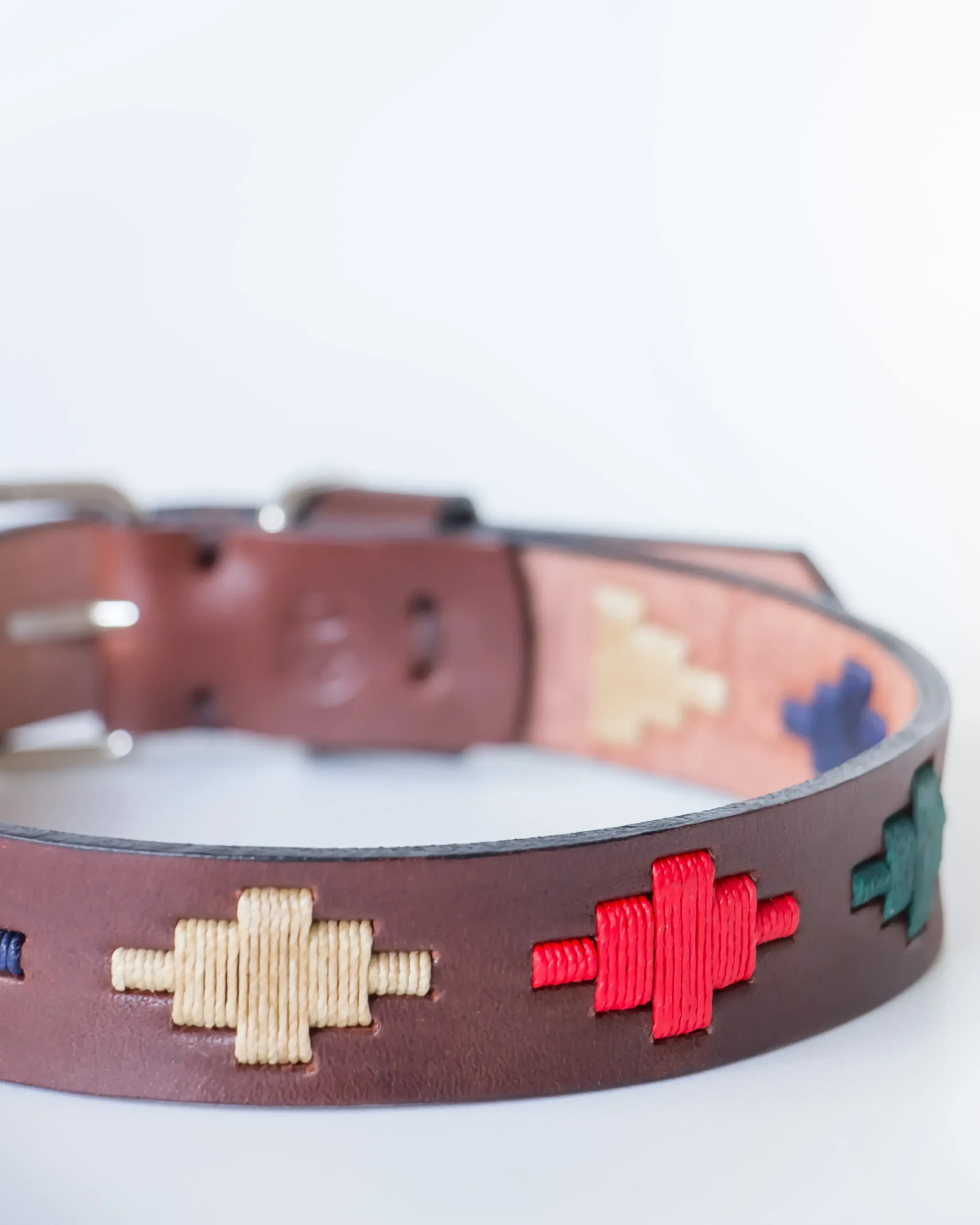 Coleira para cães Gaucho Tango