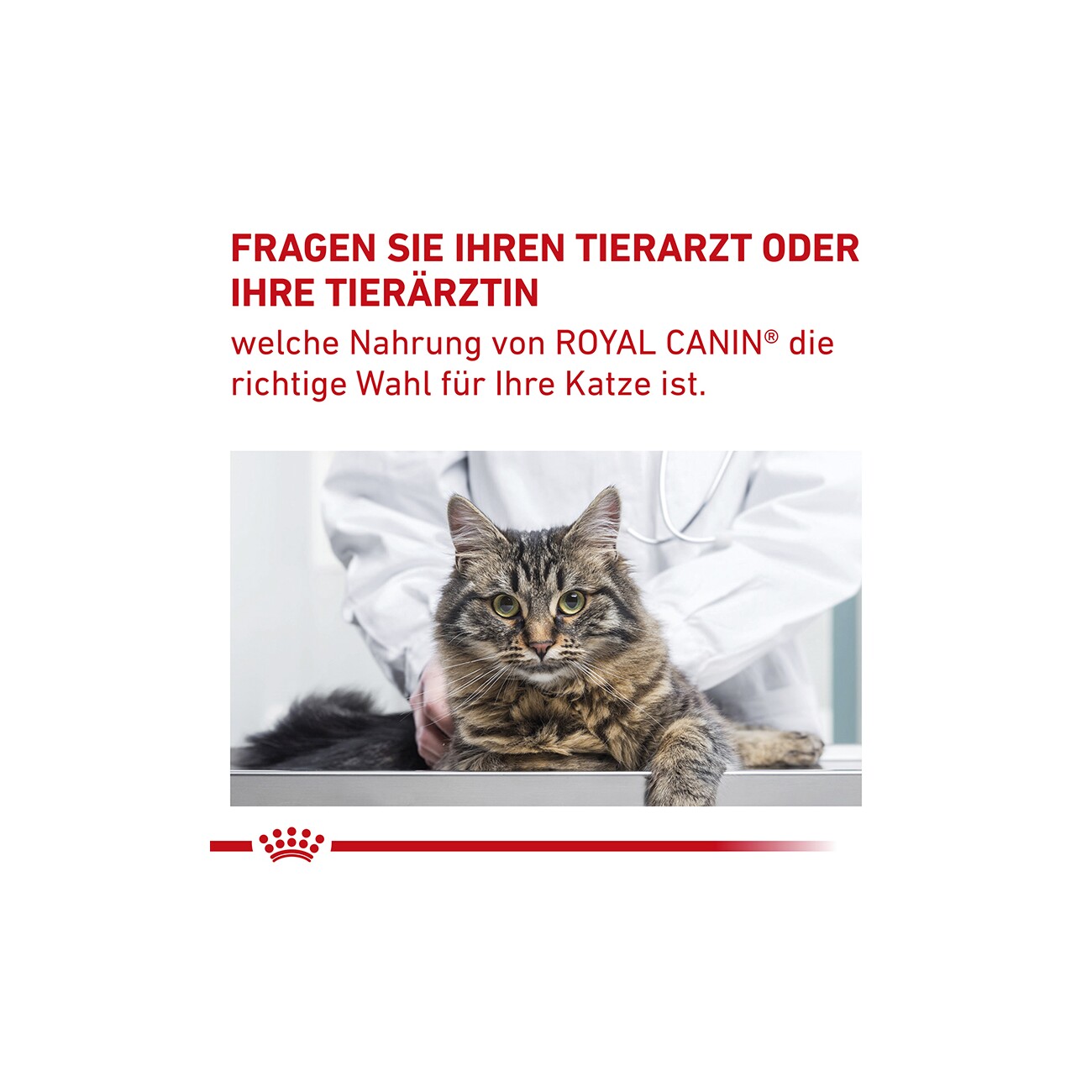 ROYAL CANIN Expert Gastrointestinal Fibre Response 400 g