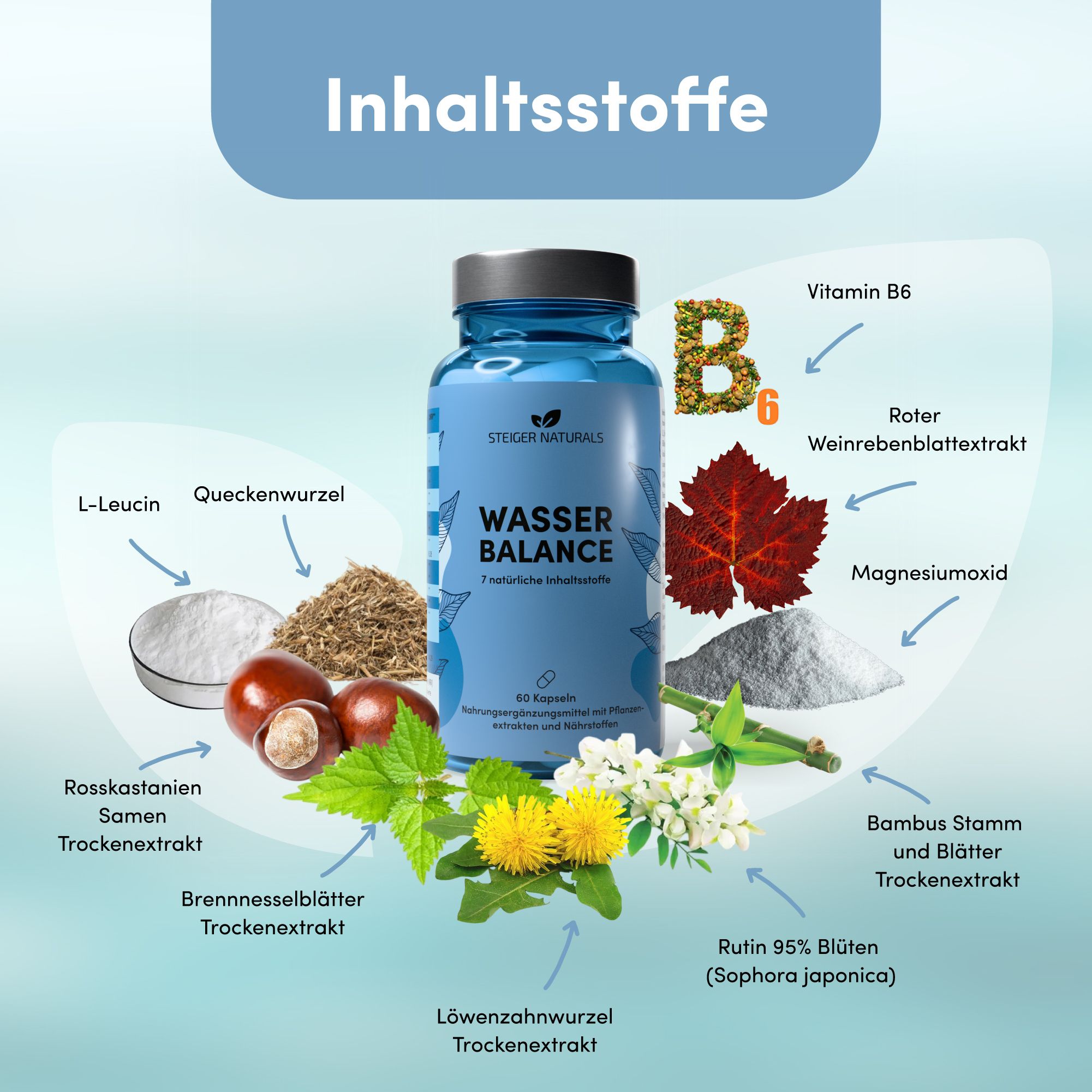Wasser Balance