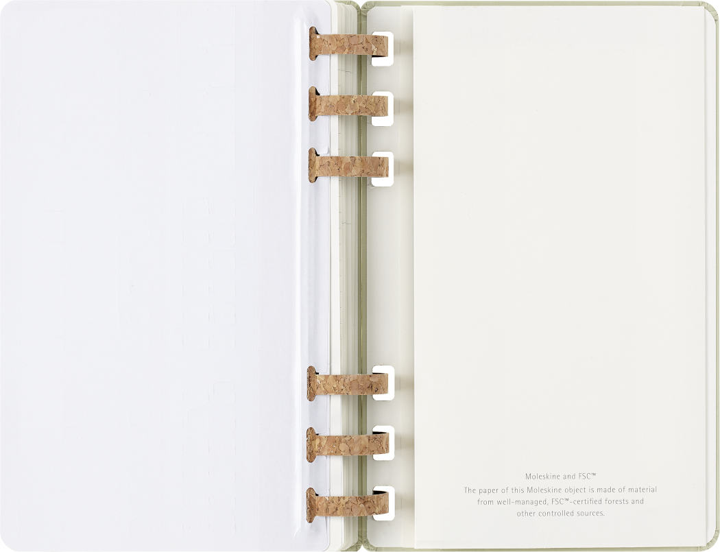 Life Planner 2025 L 12-Month, Spiral