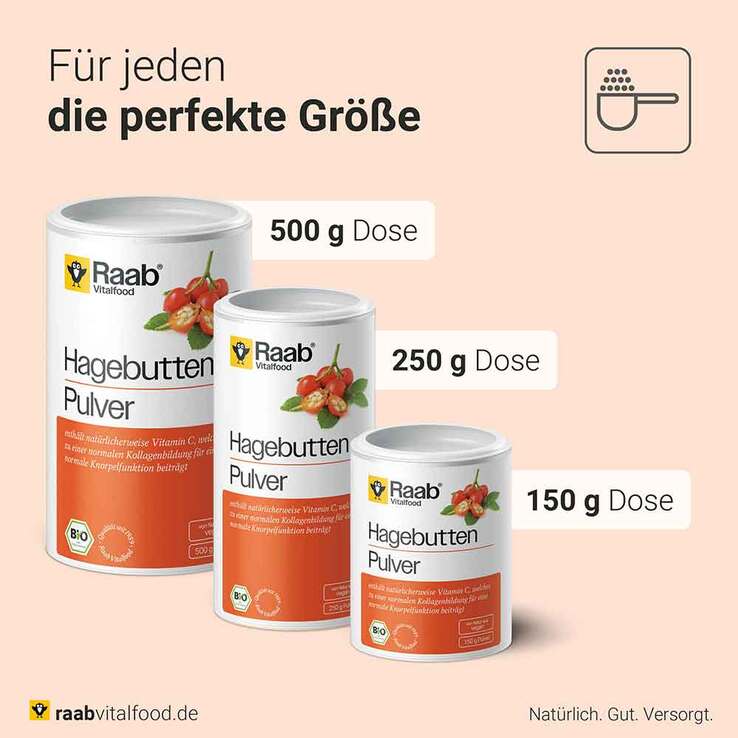 Raab Vitalfood Hagebutte Bio Pulver, 150 g