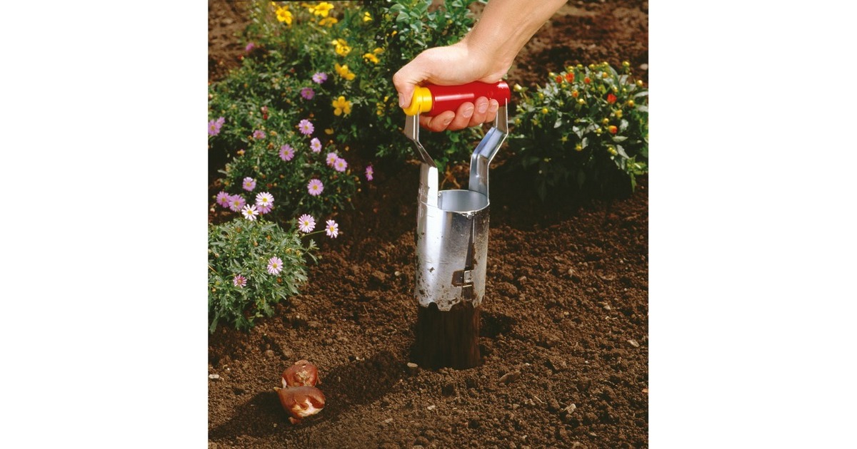 WOLF-GartenFH-N Bollenplanter  (Rood/geel)