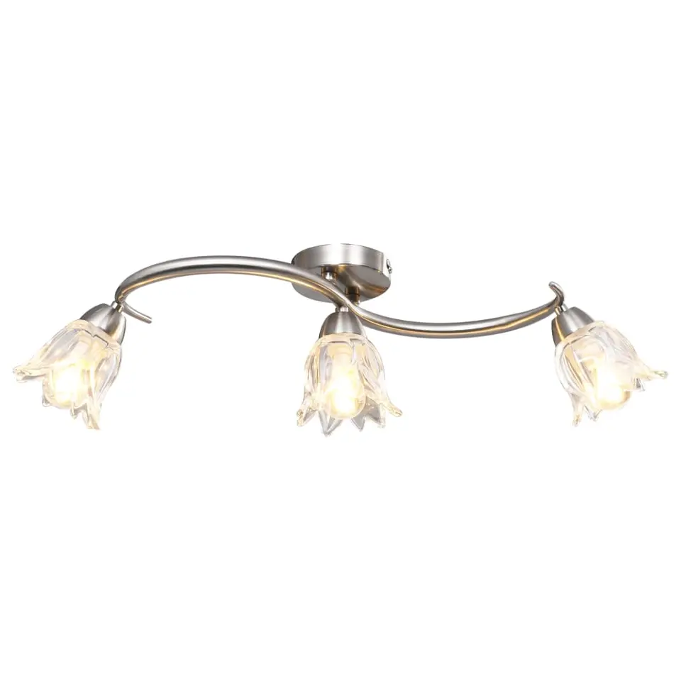 vidaXL - Plafondlamp - Transparent - Glas