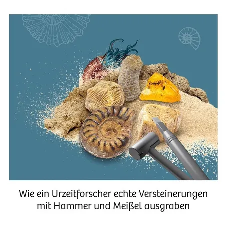 KOSMOS Fossilien International (mehrsprachig)