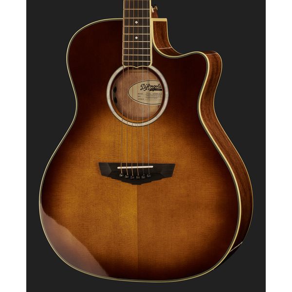 DAngelico Excel Gramercy Autumn Burst