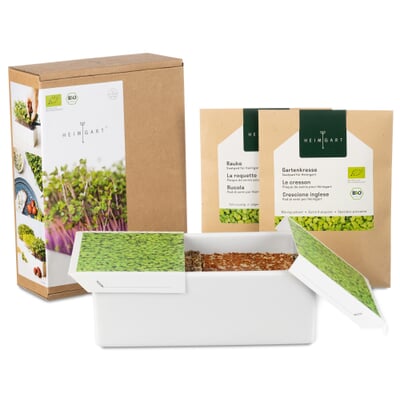 Anzuchtset Microgreens