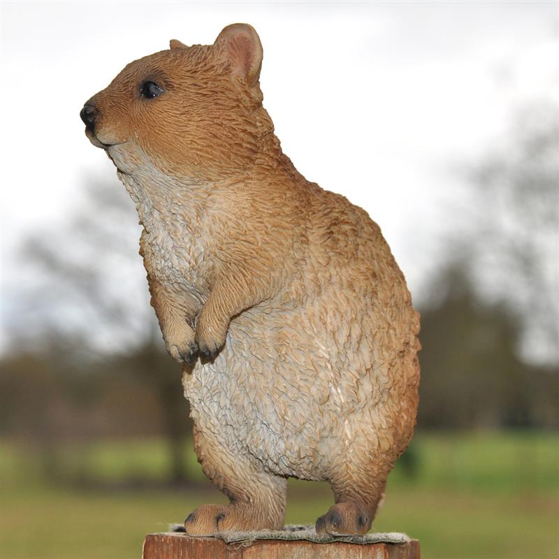 Dazikemo Dekofigur Gartenfigur Erdmännchen