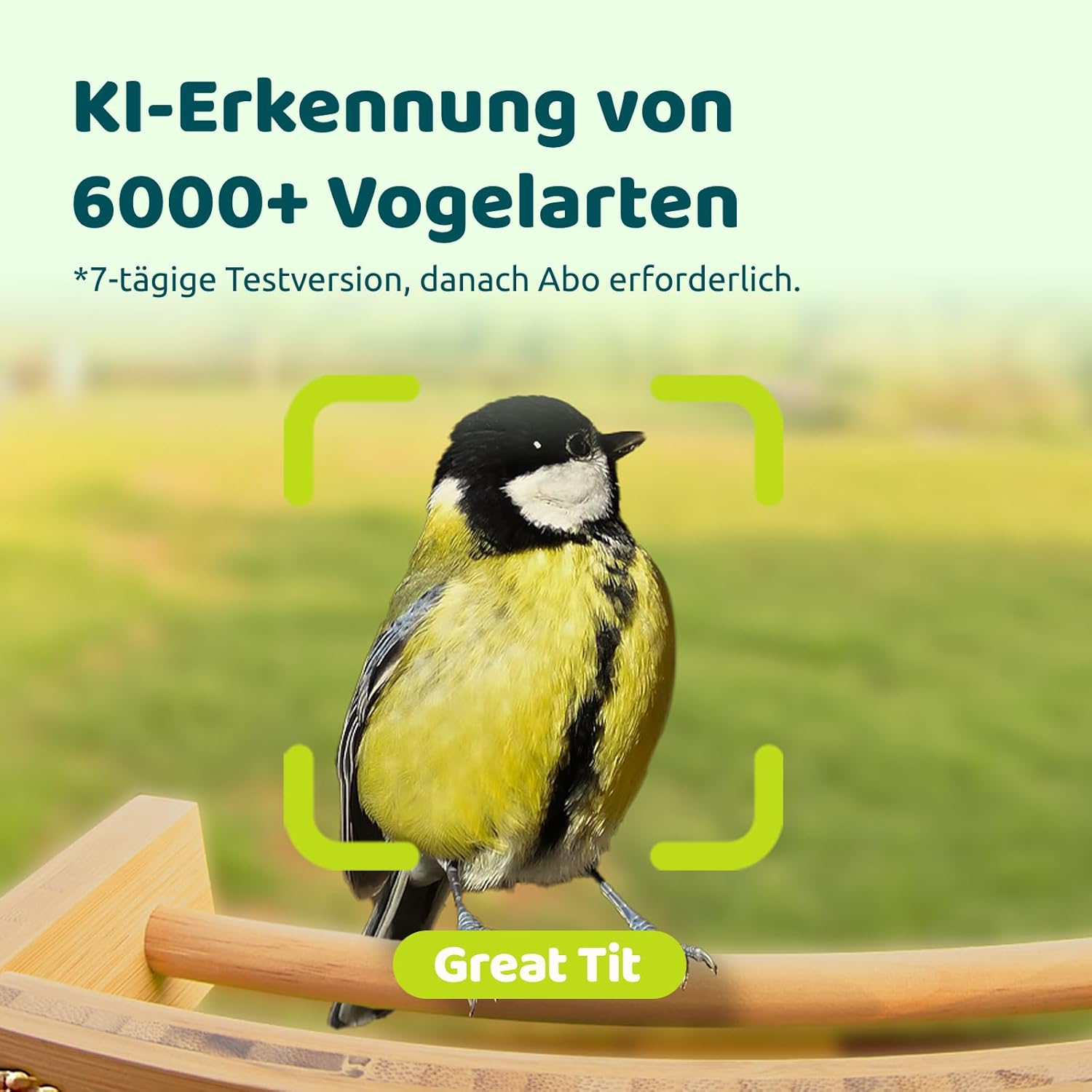 NETVUE by Birdfy Bambus Mini Vogelfutterhaus mit Kamera für Live Vogelbeobachtung, Solarbetrieb Vogelfutterspender mit App, Automatisch Aufnahm und Echtzeit Benachrichtigung bei Vogelbesuch