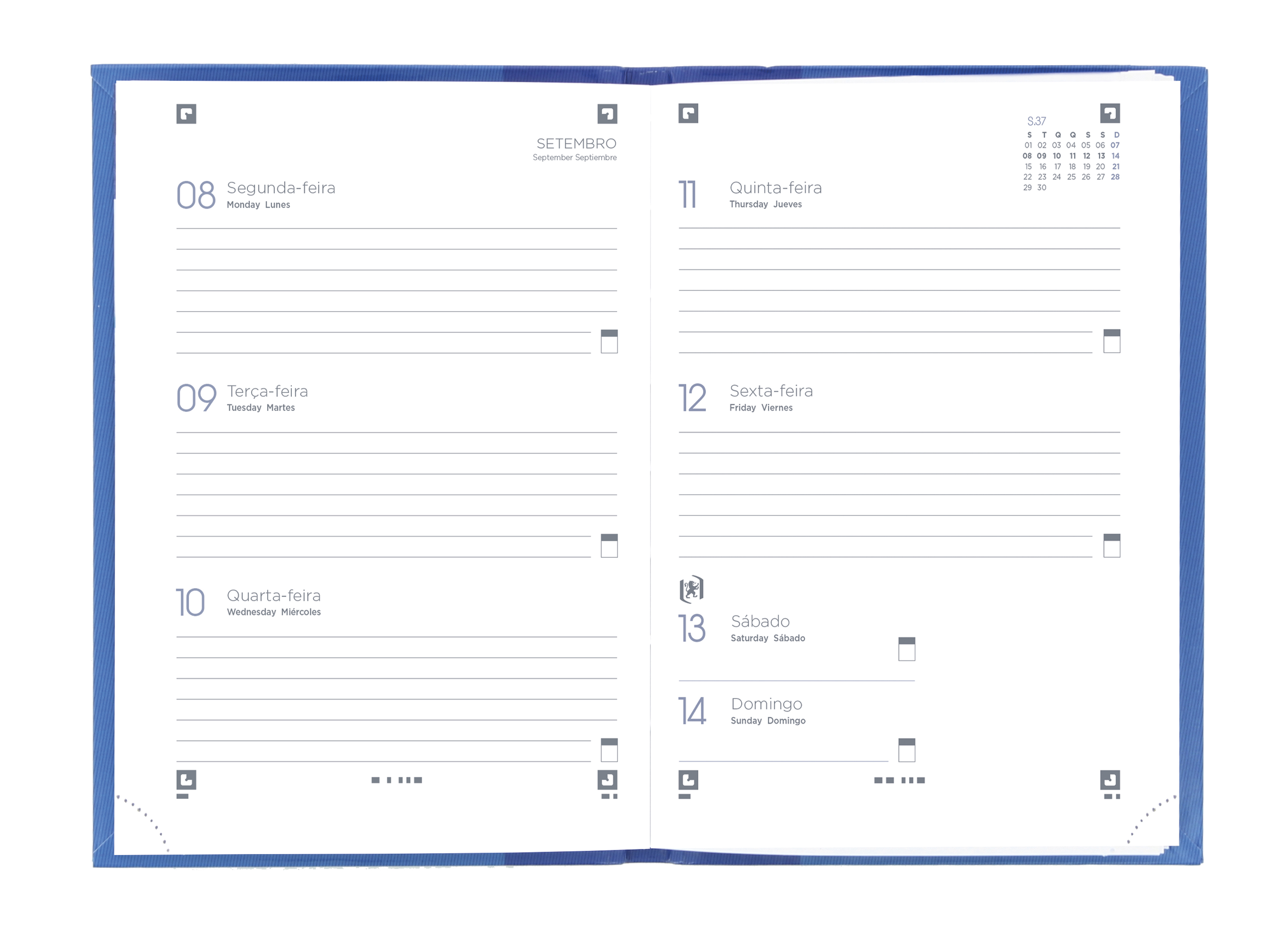 AGENDA ESCOLAR A6 OXFORD&YOU SEMANAL CORES SORTIDAS