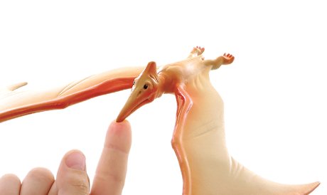 Balancing Pteranodon