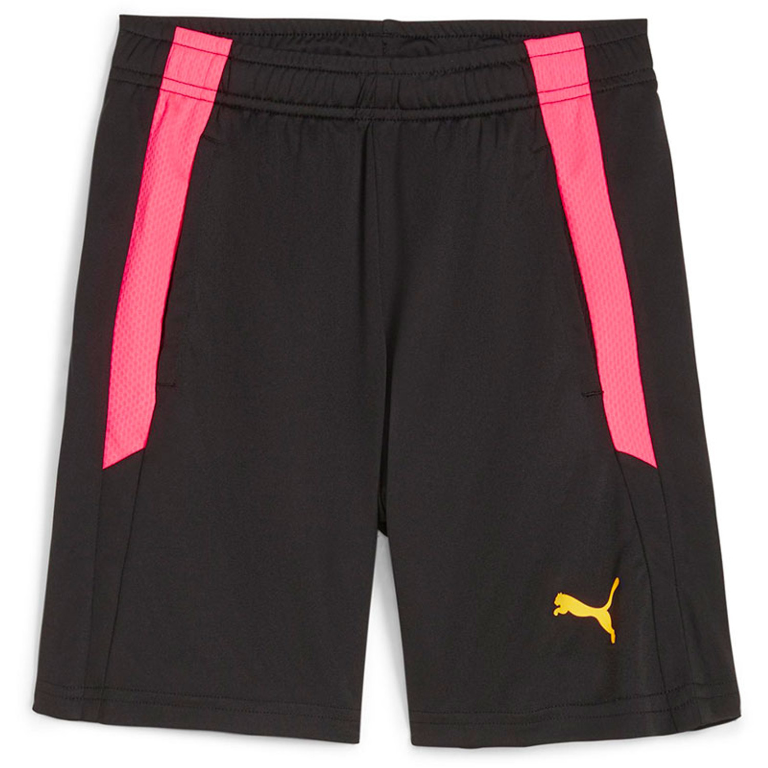 Puma LIGA Trainingsset Kids