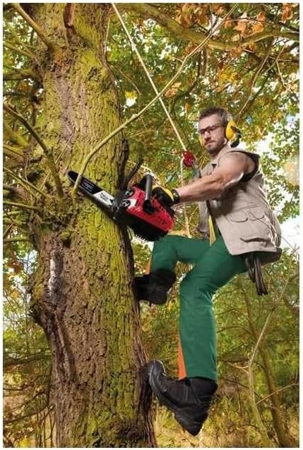 Scheppach Benzin Kettensäge CSP2540 Motorsäge klein | 25cm Schwert | 25,4 cm³ | 2-Takt Benzin-Motor | ProCut Schwert & Kette | kompakt und leicht