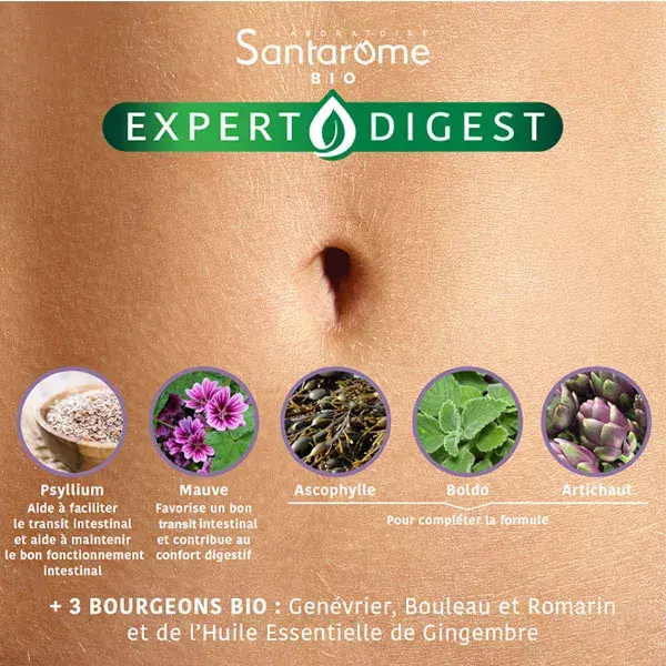 Santarome - Transit Flash Bio - Auxiliar Digestivo - 15 comprimidos