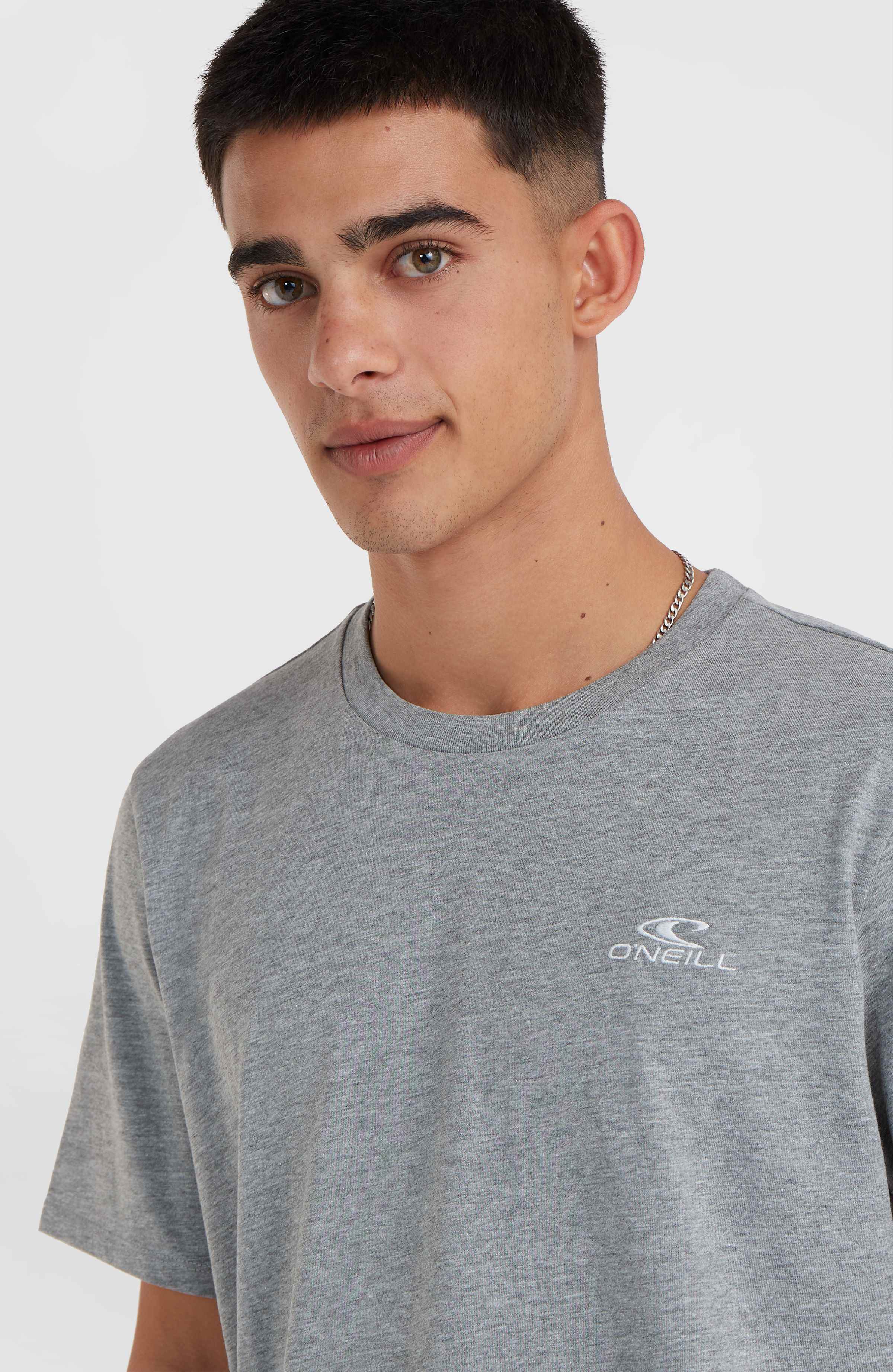 Small Logo T-shirt O`Neill Grijs