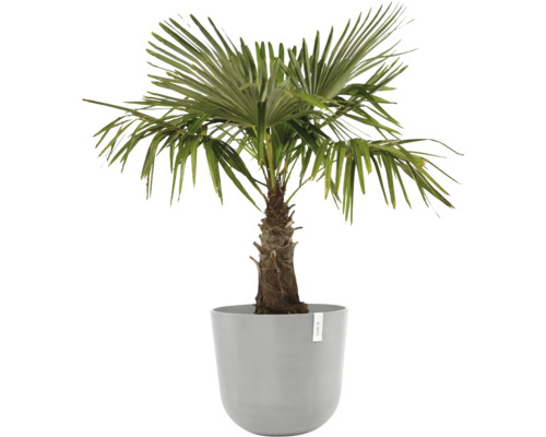 Ecopots Oslo kunststof bloempot, Ø 52,3 cm, 55 x 55 x 48,5 cm, grijswit
