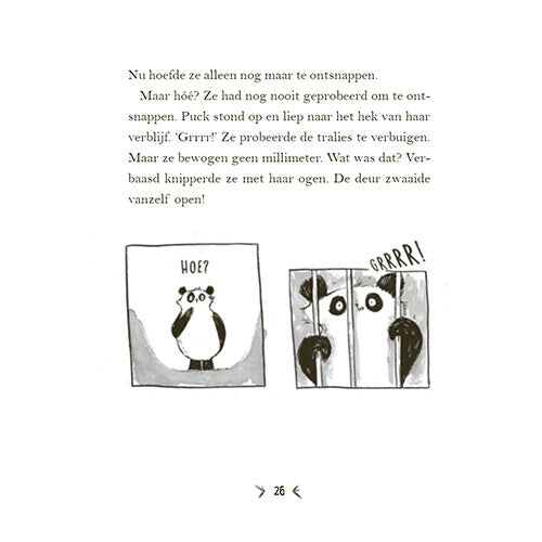 Uitgeverij condor een panda voor mijn verjaardag