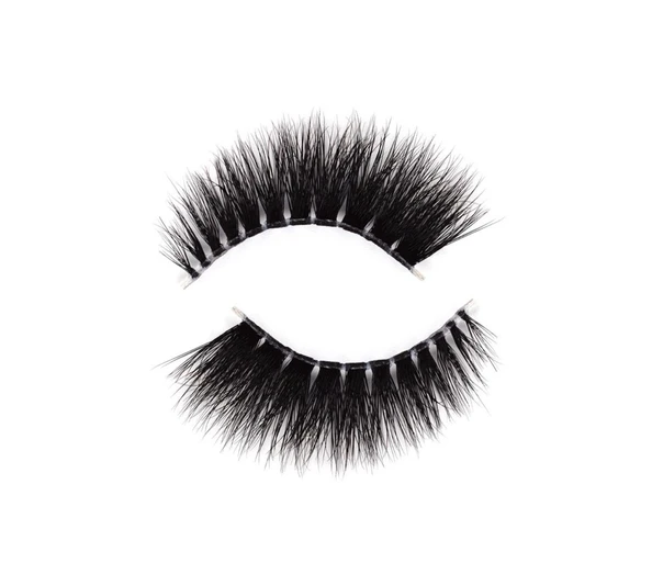 Melody Lashes Attitude Lashes Obsessed