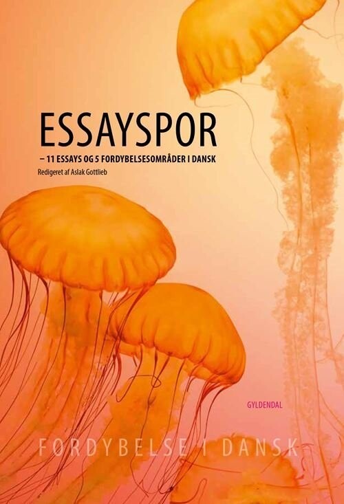 Essayspor - Aslak Gottlieb - Bog