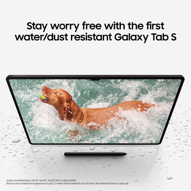Samsung Galaxy Tab S9 WiFi-tablet 8/128GB (graphite)