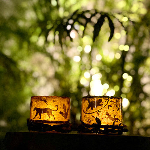 Box candiy knutselset windlichtjes maken - jungle
