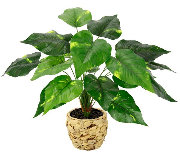 I.GE.A. Kunstpflanze Pothos im